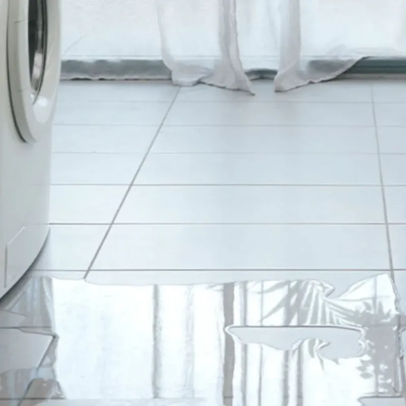 Appliance Leak Cleanup in Ravalli County, MT